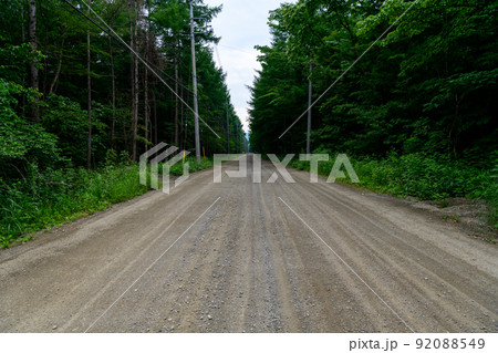 真っ直ぐ伸びるダートの林道　 92088549