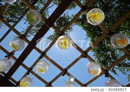 埼玉県川越市小ヶ谷町　川越水上公園となり瑶光山最明寺の花てまり水風船 92088827
