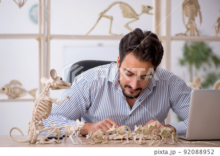 Young male paleontologist examining ancient animals at lab Young male paleontologist examining ancient animals at lab 92088952
