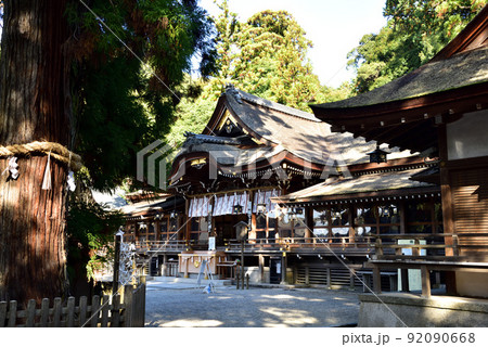大神神社の拝殿 大神神社の拝殿 92090668