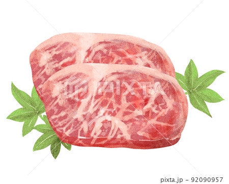 水彩風 霜降り肉 和牛ステーキ 水彩風 霜降り肉 和牛ステーキ 92090957