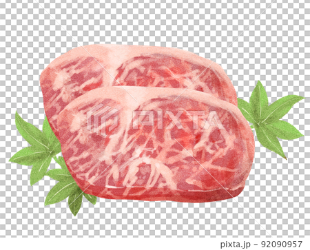 Watercolor style marbled meat Wagyu steak 92090957
