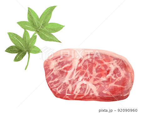 お肉とかいしき 92090960