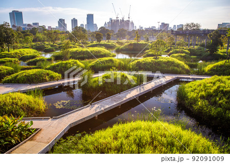 Benjakitti Park or Benchakitti forest park new design walkway in central Bangkok, Thailand 92091009