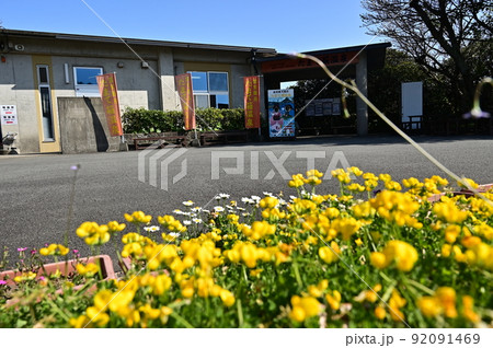 鹿児島いぶすき観光、山川製塩工場跡 92091469