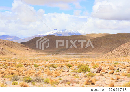 アタカマ アタカマ 92091713