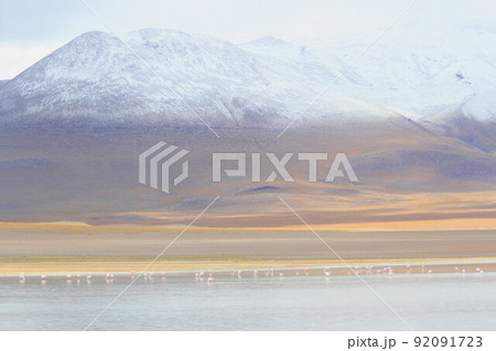 アタカマ アタカマ 92091723