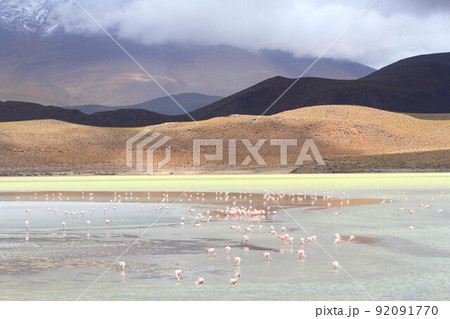 アタカマ アタカマ 92091770