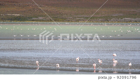 アタカマ アタカマ 92091796