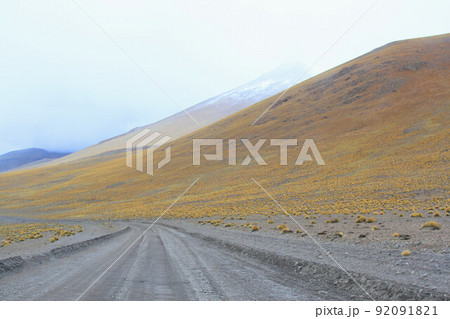 アタカマ 92091821