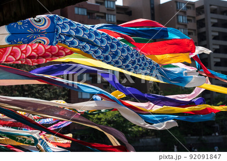 浅野川鯉流し 92091847