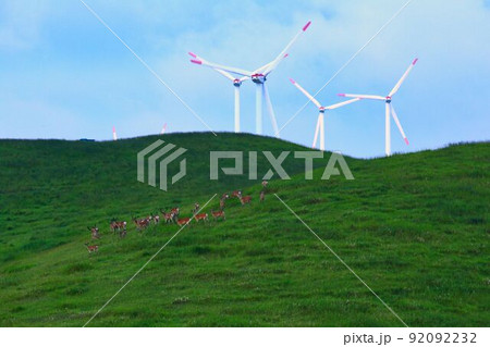 北の丘陵地 北の丘陵地 92092232