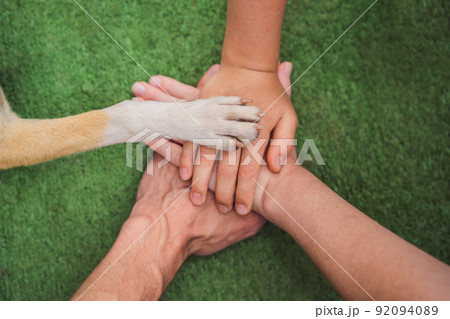 Human hands and dog paw as a team. Fight for animal rights, help animals Human hands and dog paw as a team. Fight for animal rights, help animals 92094089