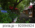 廃墟長屋とあじさいのコラボ　和歌山県岩出市 92094924