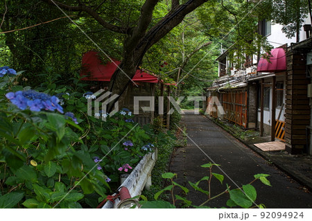 廃墟長屋とあじさいのコラボ　和歌山県岩出市 92094924