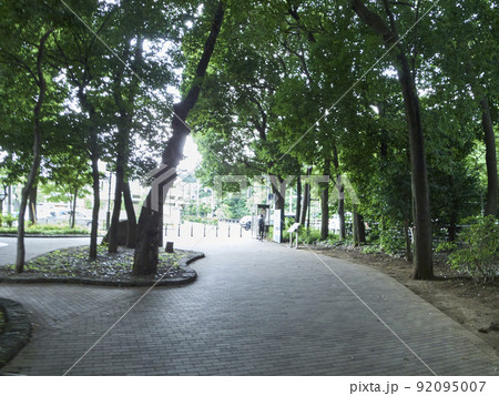 公園 木漏れ日 92095007