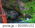 岩つつじの咲く渓流　赤い橋梁　奈良県野迫川村 92095152
