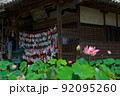 ハスとてるてる坊主の生蓮寺　奈良県五條市 92095260