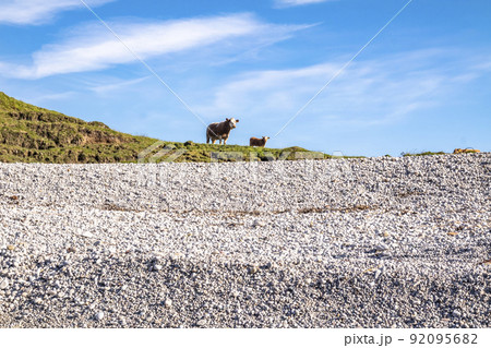 The beach next to the Great Pollet Sea Arch, Fanad Peninsula, County Donegal, Ireland 92095682