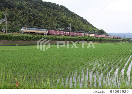 早朝の東海道本線　上牧カーブを行く　スーパーレールカード　高速貨物電車 92095929