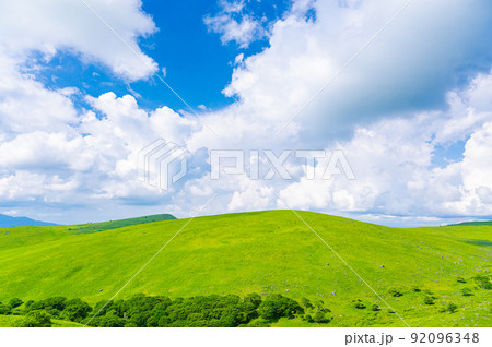 夏の草原と青い空 92096348