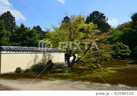 鹿王院の庭園（京都市右京区嵯峨北堀町） 92096526