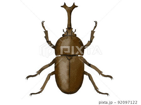 オスのカブトムシの上向きイラスト（水彩風） 92097122