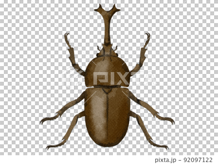 オスのカブトムシの上向きイラスト（水彩風） 92097122