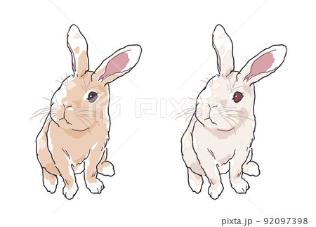 リアルスケッチ風子うさぎ（茶veと白verのセット）のイラスト