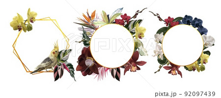 A set of tropical frames. Parrots. Realistic illustration of tropical flowers and leaves. 92097439