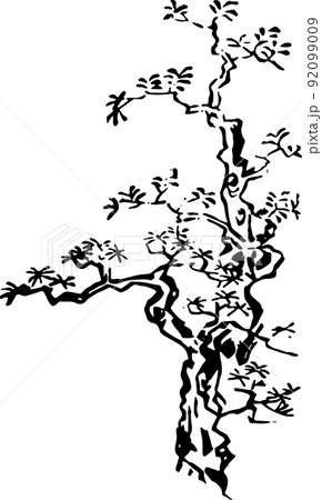 日本庭園用の木 92099009