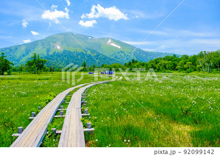 至仏山に向かう木道 92099142