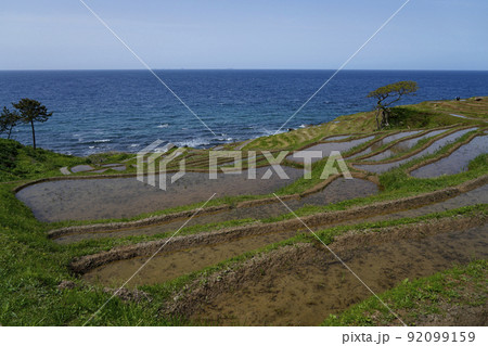 田植え前の白米千枚田 田植え前の白米千枚田 92099159