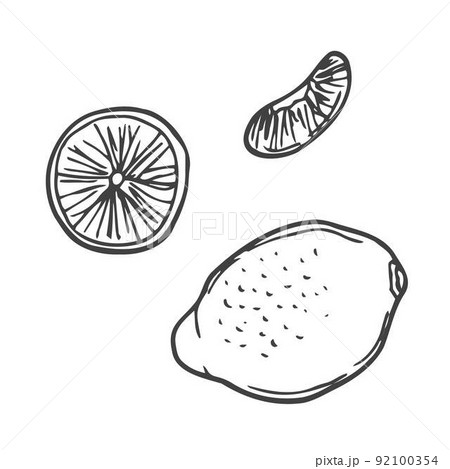 Handdrawn lemon doodle icon illustration for design and web isolated on white background.Lemon vector object for labels, logos and advertising.Hand drawn black and colored sketch. Flat design. 92100354