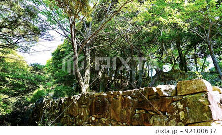 対馬にかつて存在した清水山城跡三ノ丸 対馬にかつて存在した清水山城跡三ノ丸 92100637