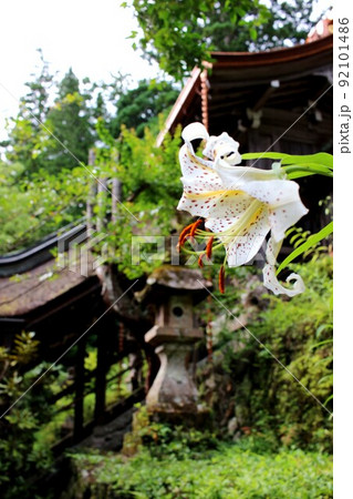 丹生川上神社 丹生川上神社 92101486