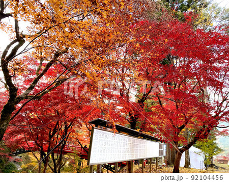 養父神社の紅葉まつり 養父神社の紅葉まつり 92104456