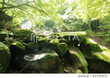 愛媛県松野町 滑床渓谷 岳見岩周辺の風景 愛媛県松野町 滑床渓谷 岳見岩周辺の風景 92105872