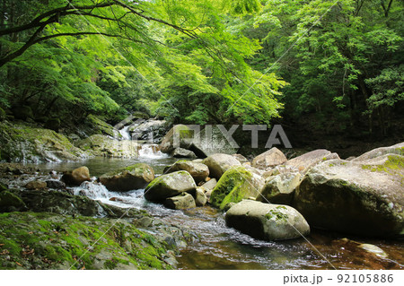 愛媛県松野町　滑床渓谷の風景 92105886