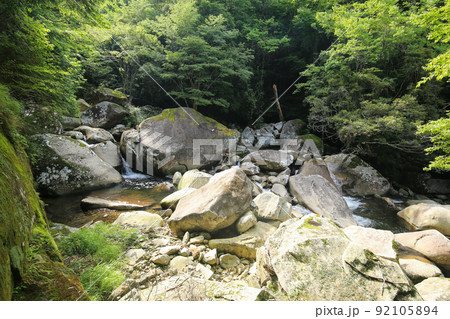 愛媛県松野町 滑床渓谷の風景 愛媛県松野町 滑床渓谷の風景 92105894