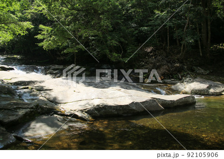 愛媛県松野町 滑床渓谷 出合滑 愛媛県松野町 滑床渓谷 出合滑 92105906