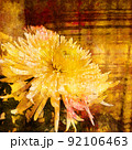 Close-up of a yellow flower. Aster bud. Digital watercolor painting. Contemporary art. Canvas texture. 92106463