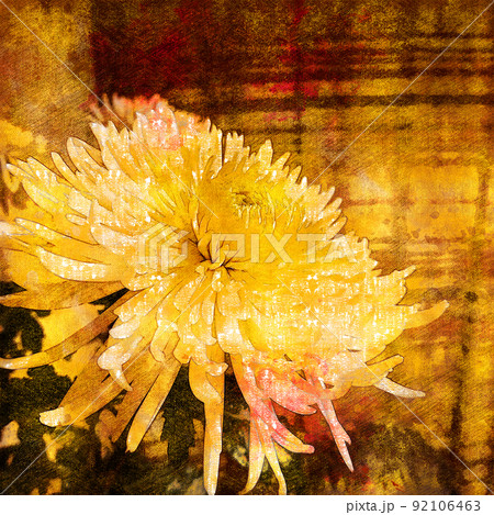 Close-up of a yellow flower. Aster bud. Digital watercolor painting. Contemporary art. Canvas texture. 92106463
