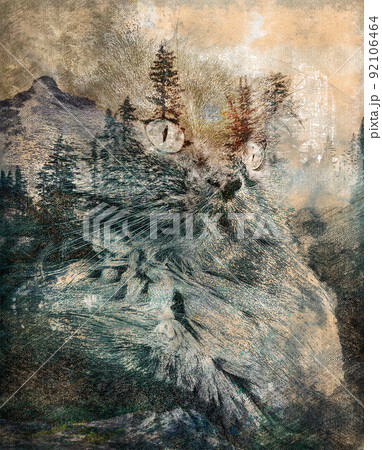 Double composition. Gray cat and mountain forest. The fog is rolling over the mountains. Animals and nature. Digital watercolor painting. Contemporary art. Canvas texture. 92106464