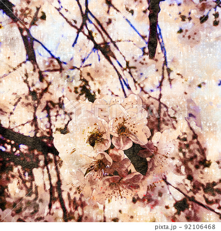 A bee pollinating cherry blossom branches. Digital watercolor painting. Contemporary art. Canvas texture. 92106468