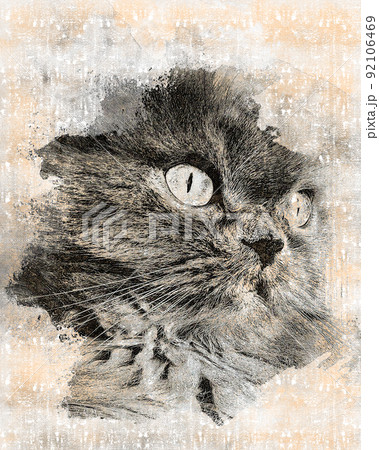 Portrait of a gray adult cat. Pets. Digital watercolor painting. Contemporary art. Canvas texture. 92106469