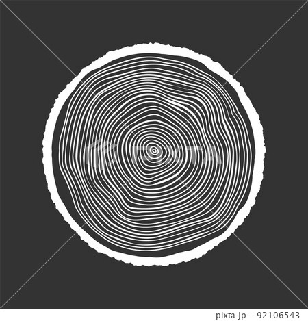 Round tree trunk cut, sawn pine or oak slice. Saw cut timber, wood. White wooden texture with tree rings. Hand drawn sketch. Vector illustration Round tree trunk cut, sawn pine or oak slice. Saw cut timber, wood. White wooden texture with tree rings. Hand drawn sketch. Vector illustration 92106543