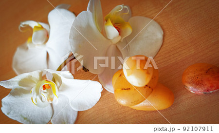 large white orchid flowers on a brown background large white orchid flowers on a brown background 92107911
