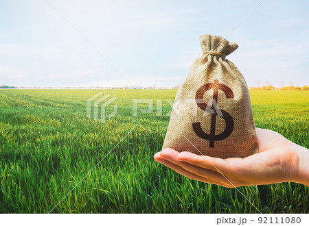 Green meadow field of young wheat and dollar money bag. World hunger. Grains cereals deficits. Starvation, famine. Agroindustry and the agricultural business. World food security crisis, high prices. Green meadow field of young wheat and dollar money bag. World hunger. Grains cereals deficits. Starvation, famine. Agroindustry and the agricultural business. World food security crisis, high prices. 92111080
