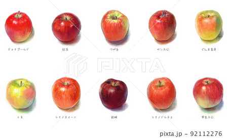 10種類のりんごの水彩風イラスト 92112276
